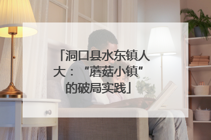 洞口县水东镇人大：“蘑菇小镇”的破局实践