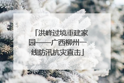 洪峰过境重建家园——广西柳州一线防汛抗灾直击