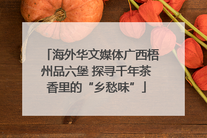 海外华文媒体广西梧州品六堡 探寻千年茶香里的“乡愁味”