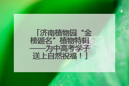 济南植物园“金榜题名”植物特辑——为中高考学子送上自然祝福！