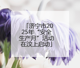 济宁市2025年“安全生产月”活动在汶上启动