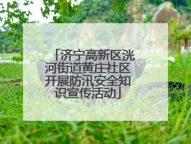 济宁高新区洸河街道黄庄社区开展防汛安全知识宣传活动