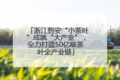 浙江磐安“小茶叶”成就“大产业”，全力打造50亿级茶叶全产业链