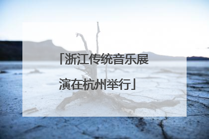 浙江传统音乐展演在杭州举行