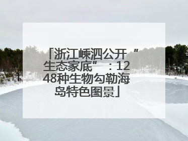 浙江嵊泗公开“生态家底”：1248种生物勾勒海岛特色图景