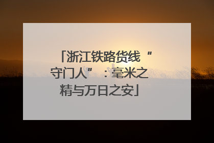 浙江铁路货线“守门人”：毫米之精与万日之安