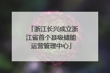 浙江长兴成立浙江省首个县级储能运营管理中心