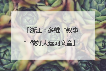 浙江：多维“叙事”做好大运河文章