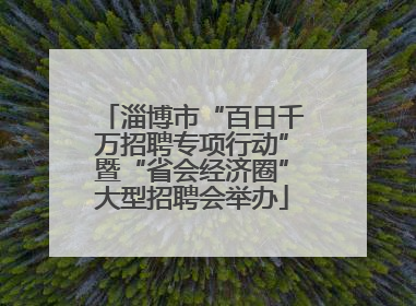淄博市“百日千万招聘专项行动”暨“省会经济圈”大型招聘会举办