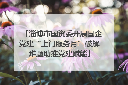 淄博市国资委开展国企党建“上门服务月”破解难题助推党建赋能