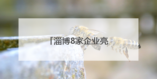淄博8家企业亮相深圳文博会