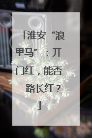淮安“浪里马”：开门红，能否一路长红？