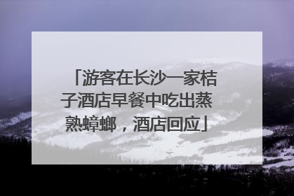 游客在长沙一家桔子酒店早餐中吃出蒸熟蟑螂，酒店回应