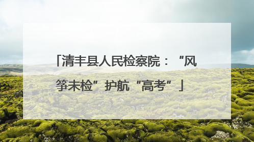 清丰县人民检察院：“风筝未检”护航“高考”