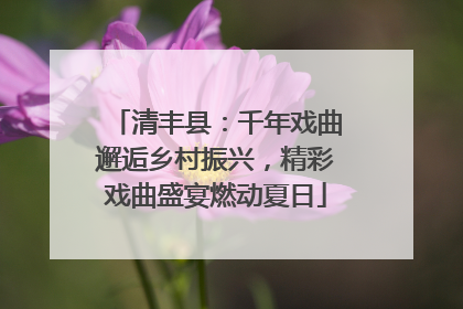 清丰县：千年戏曲邂逅乡村振兴，精彩戏曲盛宴燃动夏日
