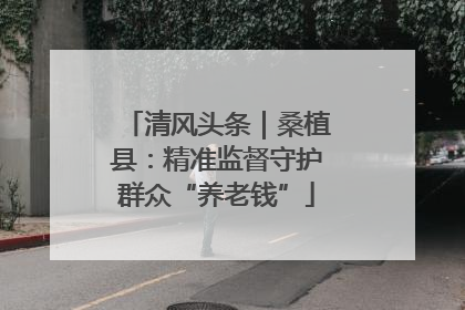 清风头条｜桑植县：精准监督守护群众“养老钱”