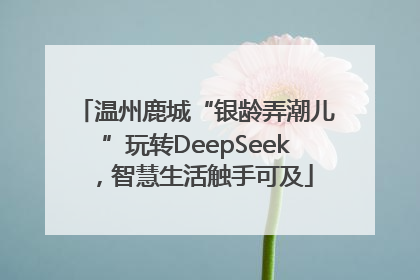 温州鹿城“银龄弄潮儿”玩转DeepSeek，智慧生活触手可及