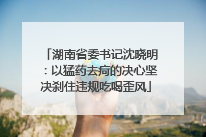 湖南省委书记沈晓明：以猛药去疴的决心坚决刹住违规吃喝歪风