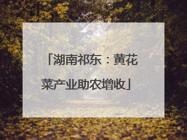 湖南祁东：黄花菜产业助农增收