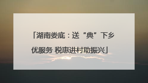 湖南娄底：送“典”下乡优服务 税惠进村助振兴