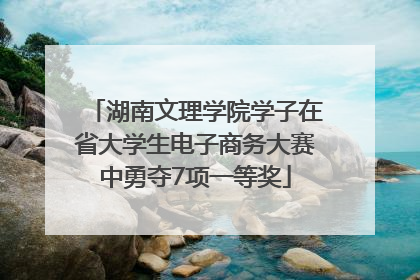 湖南文理学院学子在省大学生电子商务大赛中勇夺7项一等奖