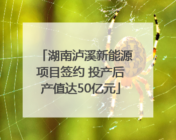 湖南泸溪新能源项目签约 投产后产值达50亿元
