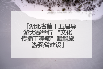 湖北省第十五届导游大赛举行 “文化传播工程师”赋能旅游强省建设
