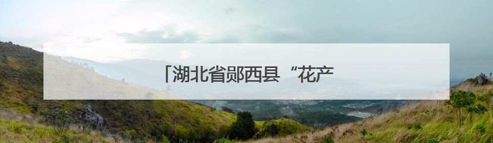 湖北省郧西县“花产业”带来好“钱”景