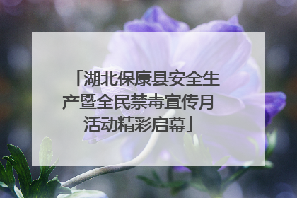 湖北保康县安全生产暨全民禁毒宣传月活动精彩启幕