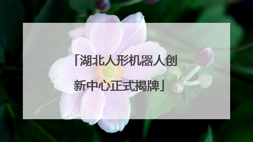 湖北人形机器人创新中心正式揭牌