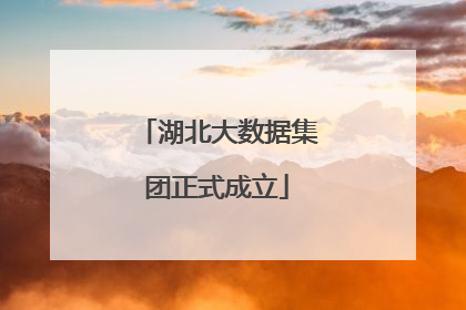 湖北大数据集团正式成立