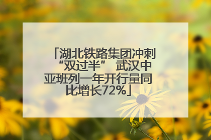湖北铁路集团冲刺“双过半” 武汉中亚班列一年开行量同比增长72%