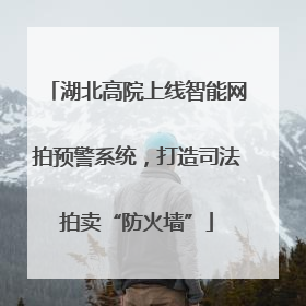 湖北高院上线智能网拍预警系统，打造司法拍卖“防火墙”