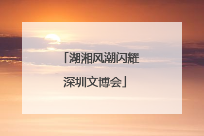 湖湘风潮闪耀深圳文博会
