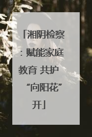 湘阴检察：赋能家庭教育 共护“向阳花”开