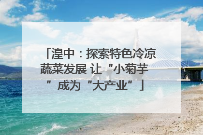 湟中：探索特色冷凉蔬菜发展 让“小菊芋”成为“大产业”