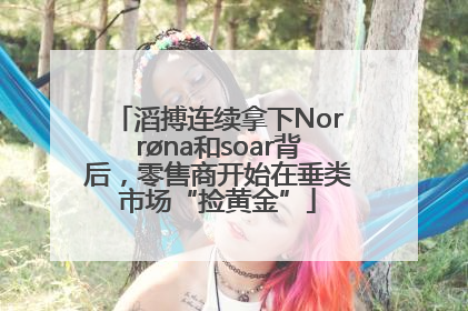 滔搏连续拿下Norrøna和soar背后，零售商开始在垂类市场“捡黄金”