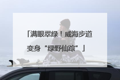 满眼翠绿！威海步道变身“绿野仙踪”