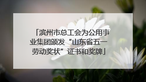 滨州市总工会为公用事业集团颁发“山东省五一劳动奖状”证书和奖牌
