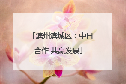 滨州滨城区：中日合作 共赢发展