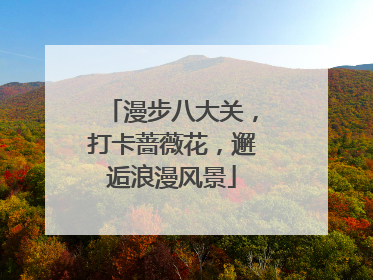 漫步八大关，打卡蔷薇花，邂逅浪漫风景