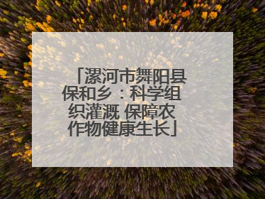 漯河市舞阳县保和乡：科学组织灌溉 保障农作物健康生长