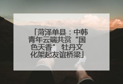 菏泽单县：中韩青年云端共赏“国色天香” 牡丹文化架起友谊桥梁