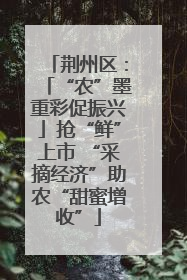 荆州区：「“农”墨重彩促振兴」抢“鲜”上市 “采摘经济”助农“甜蜜增收”