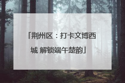 荆州区：打卡文博西城 解锁端午楚韵