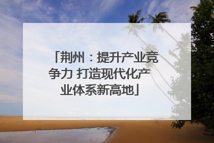 荆州：提升产业竞争力 打造现代化产业体系新高地