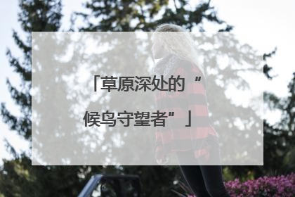 草原深处的“候鸟守望者”