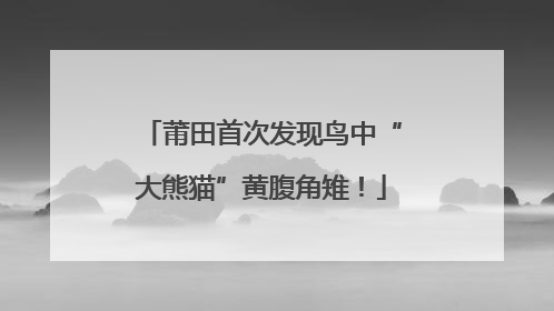 莆田首次发现鸟中“大熊猫”黄腹角雉！