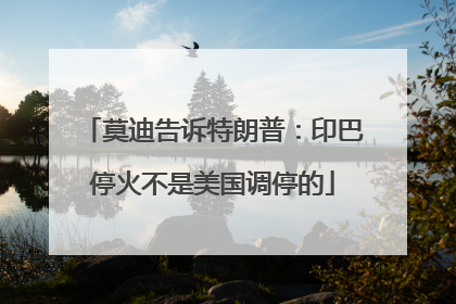 莫迪告诉特朗普：印巴停火不是美国调停的