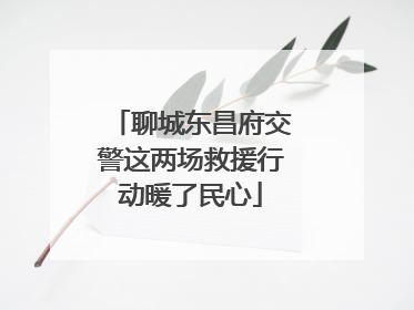 聊城东昌府交警这两场救援行动暖了民心